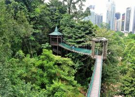 پارک جنگلی اکو (KL Forest Eco Park) کوالالامپور