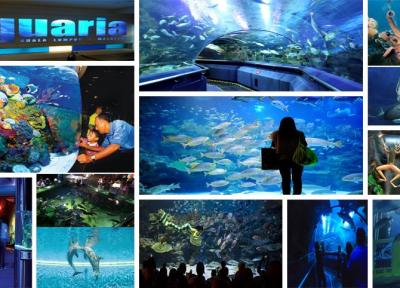 بهترین جاذبه های مالزی