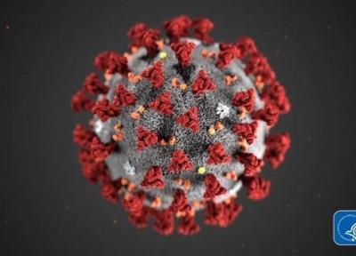 چرا کروناویروس جدید هنوز نام مشخصی ندارد؟