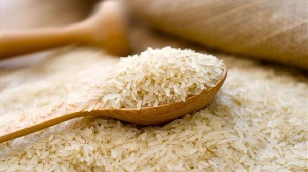 مخالفت وزارت جهاد با حذف دوره ممنوعیت واردات برنج