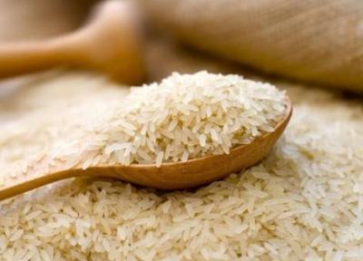 مخالفت وزارت جهاد با حذف دوره ممنوعیت واردات برنج