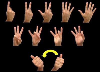 تکامل زبان اشاره از گذشته تا امروز