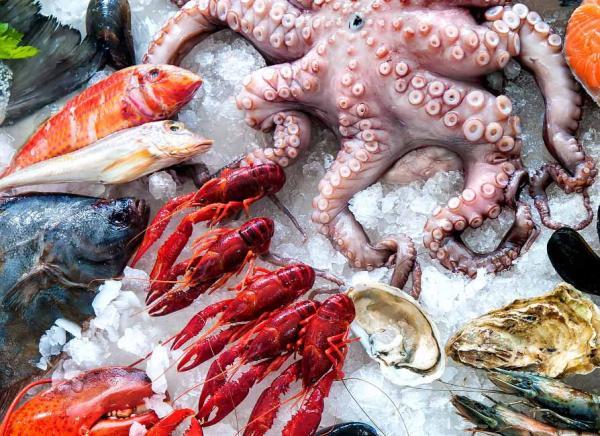 عجیب ترین غذاهای دریایی