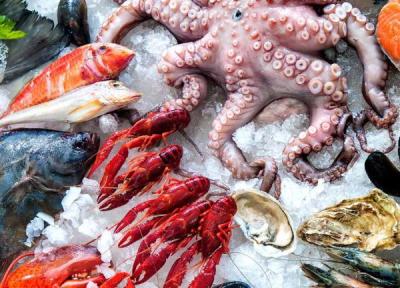 عجیب ترین غذاهای دریایی